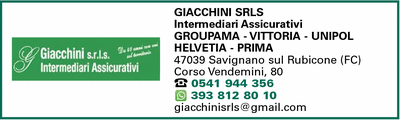 Visualizza Inserzione