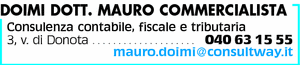 Visualizza Inserzione