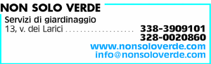 Visualizza Inserzione
