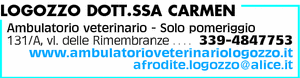 Visualizza Inserzione