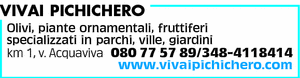 Visualizza Inserzione