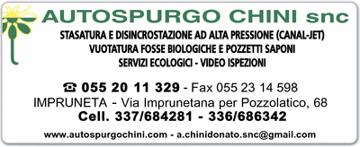 Visualizza Inserzione