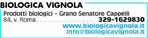 Visualizza Inserzione