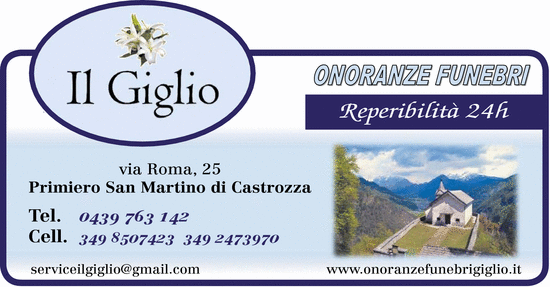 Visualizza Inserzione