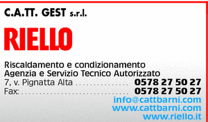 Visualizza Inserzione