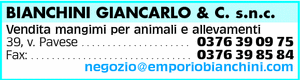 Visualizza Inserzione