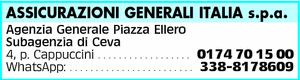 Visualizza Inserzione