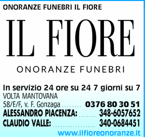 Visualizza Inserzione