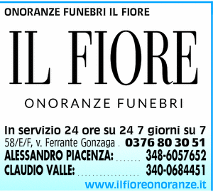 Visualizza Inserzione
