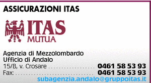Visualizza Inserzione