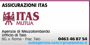 Visualizza Inserzione