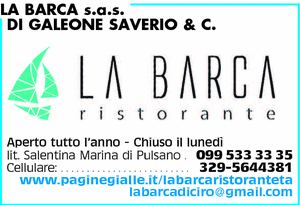 Visualizza Inserzione