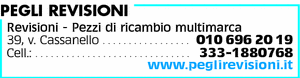 Visualizza Inserzione