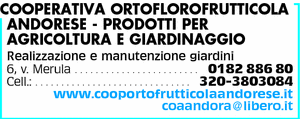 Visualizza Inserzione