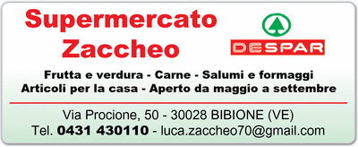 Visualizza Inserzione