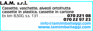 Visualizza Inserzione