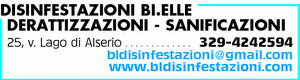Visualizza Inserzione