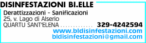 Visualizza Inserzione