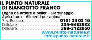 Visualizza Inserzione