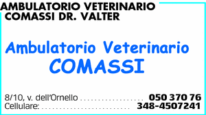 Visualizza Inserzione