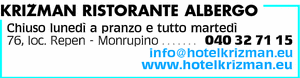 Visualizza Inserzione