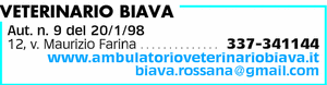 Visualizza Inserzione