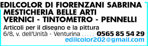 Visualizza Inserzione
