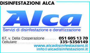Visualizza Inserzione