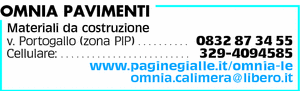 Visualizza Inserzione