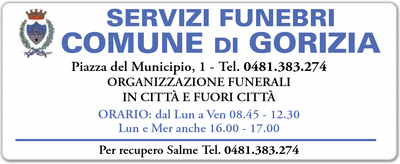 Visualizza Inserzione