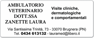 Visualizza Inserzione