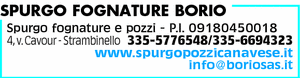 Visualizza Inserzione