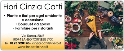 Visualizza Inserzione