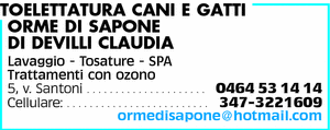 Visualizza Inserzione