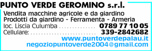 Visualizza Inserzione