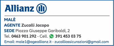 Visualizza Inserzione