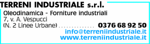 Visualizza Inserzione