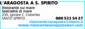 Visualizza Inserzione