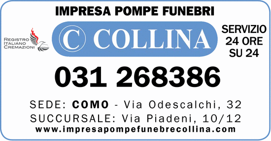 Visualizza Inserzione