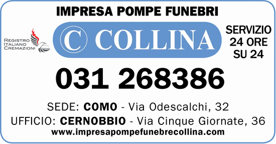Visualizza Inserzione