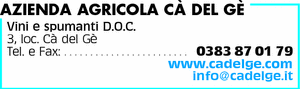 Visualizza Inserzione