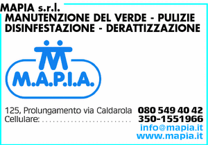 Visualizza Inserzione