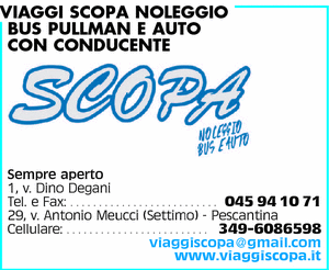 Visualizza Inserzione