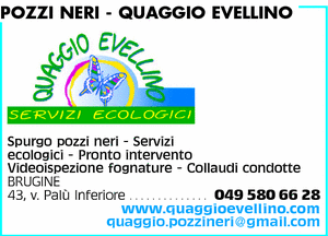 Visualizza Inserzione
