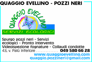 Visualizza Inserzione