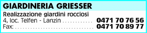Visualizza Inserzione