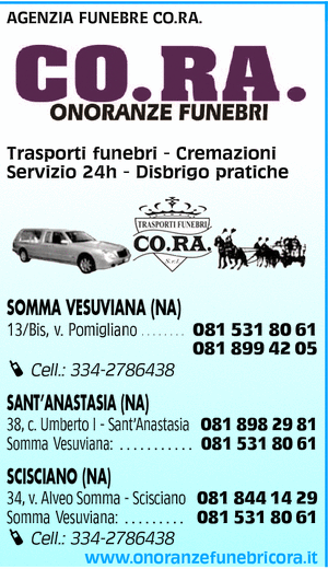 Visualizza Inserzione