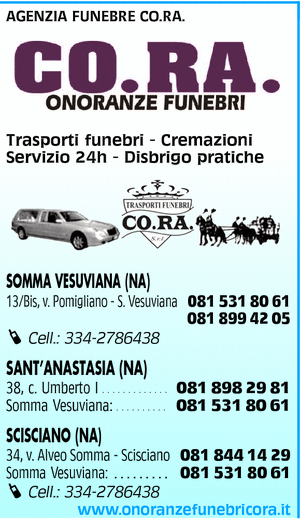 Visualizza Inserzione