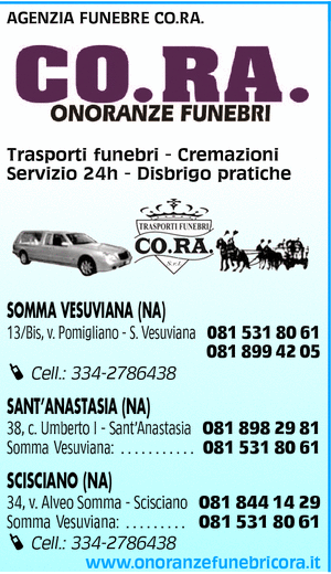 Visualizza Inserzione