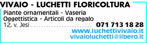 Visualizza Inserzione